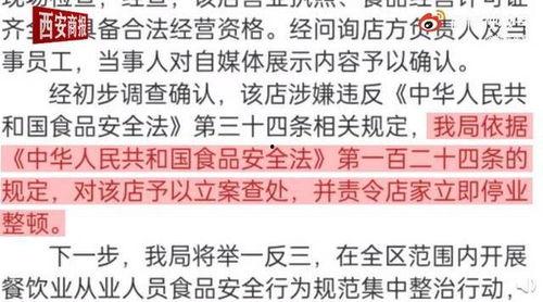 新黄瓜最新爆料视频,神秘功能引热议,网友直呼颠覆想象!
